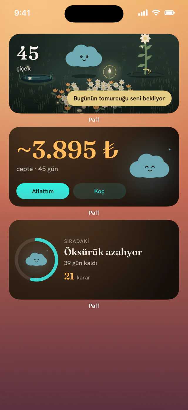Bir iPhone ana ekranında Paff widget’ları bahçeyi, cepte kalan parayı ve sıradaki eşiği gösteriyor.